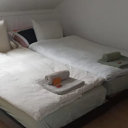 Homestay Gemuetliche Dachwohnung St. Gallen