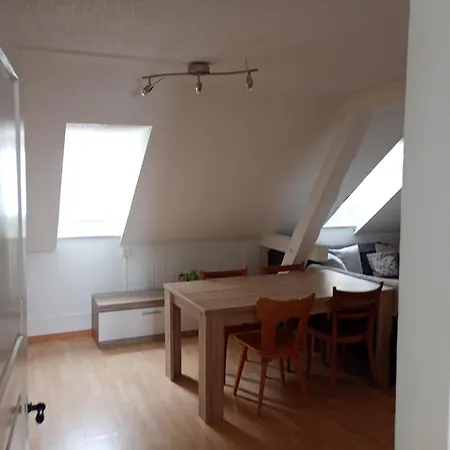 Gemuetliche Dachwohnung St. Gallen