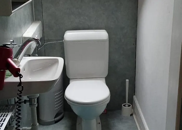 Gemuetliche Dachwohnung St. Gallen