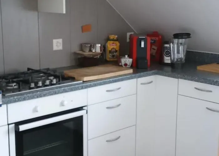 Gemuetliche Dachwohnung Sankt Gallen