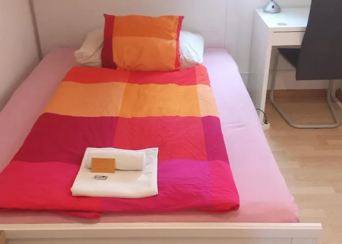 Gemuetliche Dachwohnung * Sankt Gallen